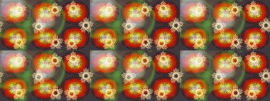 Basit bir kar tanesi. Kahverengi, turuncu ve gri renklerde şirin kar taneleri. Kışın sembolü, mutlu noeller, mutlu yeni yıl kutlaması Raster illüstrasyonu. Soyut duvar kağıdı, ambalaj dekorasyonu.