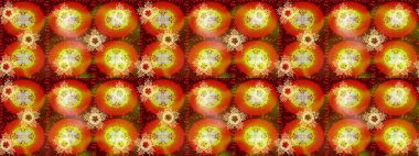 Zentangle zarif kar tanesi. Raster süslemeleri, Noel tebrik kartları, davetiye şablonu. Renkli sayfalar.