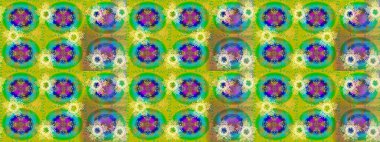 Arabesk ve çiçek öğeleri ile oryantal raster desen. Geleneksel klasik süs. Arabesk ile Vintage desen.