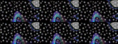 Raster illüstrasyonu. Tropik çiçek desenleri. Siyah renkte çiçekler.