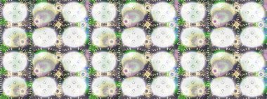 Raster. Kış Noel 'inde kar bembeyaz kristal element. Meteoroloji buz koleksiyonu. Xmas Frost kar taneleri izole edilmiş siluet sembolü. Kar Tanesi raster simgesi arka plan nötr, gri, bej rengi.