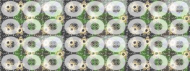 Kar tanesi süsleme deseni. Kar taneleri arka planda. Renkli arka planda izole edilmiş kar tanelerinin düz tasarımı. Kar taneleri deseni. Raster illüstrasyonu.