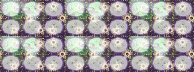 Çiçeksiz desenli, suluboya elle çizilmiş elementler. Parlak renkli fantezi çiçekleri, yapraklar, tomurcuklar nötr, mor ve gri renklerde, nötr, mor ve gri.