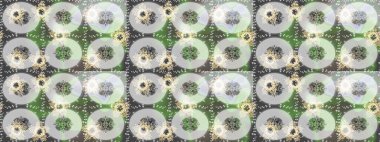 Kar tanesi süsleme deseni. Kar taneleri arka planda. Renkli arka planda izole edilmiş kar tanelerinin düz tasarımı. Kar taneleri deseni. Raster illüstrasyonu.