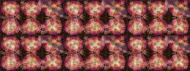 Xmas Frost kar taneleri izole edilmiş siluet sembolü. Kış Noel 'inde kar bembeyaz kristal element. Raster. Meteoroloji buz koleksiyonu. Kar Tanesi raster simgesi arka planı kahverengi, kırmızı ve bej rengi.