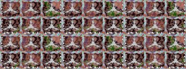 Kahverengi renkli çiçekler. Raster illüstrasyonunda kusursuz çiçek deseni.