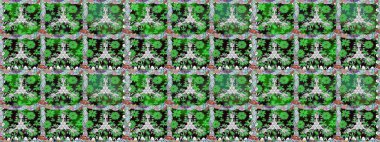 Çiçekli karalama şeklinde Raster çiçek deseni. Yumuşak, bahar çiçekli arka plan. Yeşil renkte çiçekler.