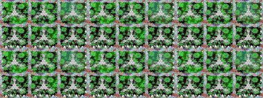 Çiçekli karalama şeklinde Raster çiçek deseni. Yumuşak, bahar çiçekli arka plan. Yeşil renkte çiçekler.