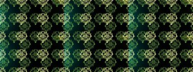 Damask pürüzsüz süsü. Geleneksel raster ve altın desen. Klasik oryantal desen siyah, yeşil ve mavi renkler üzerinde.