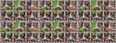 Nazik, narin çiçek arkaplanı. Renkli çiçekler. Raster çiçek desenli ve çiçekli..