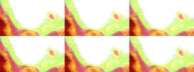 Raster illüstrasyonu. Beyaz, yeşil ve sarı renklerde bahar çiçekleri. Çiçek ve yapraklı karalama şeklinde Raster çiçek deseni.