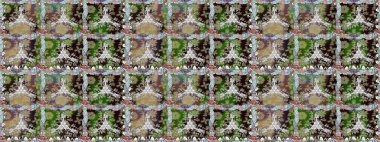 Raster düz çiçekleri pürüzsüz desen. Tarafsız renklerde çiçekler. Tasarım hediye paketi, tebrik kartları, posterler ve afiş tasarımı.