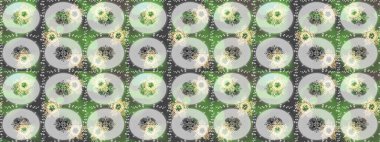 Altın desenli yeşil, gri ve nötr renklerde altın elementler. Geleneksel oryantasyon süsü. Klasik klasik klasik arka plan. Klasik Raster altın desenini çiz.