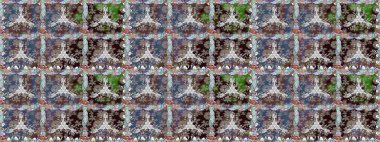 Kullanılabilir Tekstil, tebrik kartı, boyama kitabı, telefon durumda yazdırma için. Hint çiçek desenli madalyon desen. Raster kına dövme tarzı. Etnik Mandala süsleme.