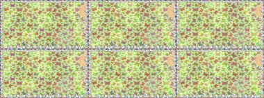 Kızlar, erkekler, elbiseler, duvar kağıtları için soyut, pürüzsüz desenler. Farklı yönlere uçan renkli kelebek koleksiyonu. Raster illüstrasyonu.