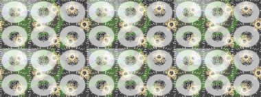 Elle çizilmiş kartanesi karalaması. Yılbaşı kış tasarımı için renkli kar taneleri. Raster illüstrasyonu.