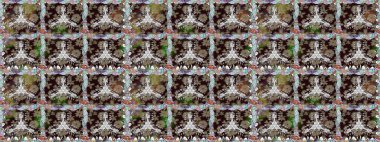 Klasik taslak çizimi. Raster Yumuşak kumaş deseni. Çiçeksel kahverengi, pürüzsüz desen. Raster çiçek izi..