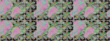 Kusursuz çiçek deseni duvar kâğıdı olarak kullanılabilir. Raster illüstrasyonu. Gri renkli çiçekler.