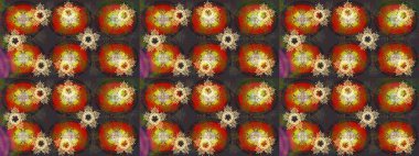 Raster illüstrasyonu. Renkli arka planda izole tatlı kar taneleri. Soyut mandala ya da tuhaf kar tanesi çizgisi sanat tasarımı.