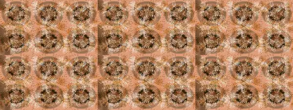 Son moda kar taneleri ve elementler onun kartlarını gösteriyor. Retro tarzı doku, soyut kış elementleri. Kar taneleri tasarımı. Mükemmel tasarım posteri, kapak, bej, kahverengi ve nötr renkli kart tasarımı.