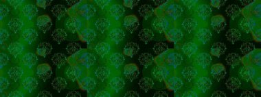 Raster Hip kumaş deseni. Kusursuz Vintage Çiçek Deseni.