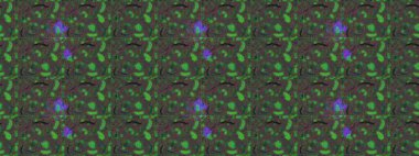 Yeşil, gri ve kahverengi renkte güzel çiçekleri olan kusursuz desenler, suluboya çiçek desenleri, duvar kağıdı, kart veya kumaş için fayanslar. Raster..