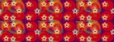 Renkli arka plan üzerinde izole sevimli kar taneleri. Raster resim. Soyut mandala veya kaprisli kar tanesi hat sanat tasarım.