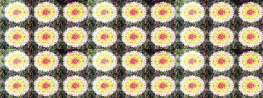 Tarafsız renklerde çiçekler. Düz Çiçek Elementleri Tasarımı. Sevimli çiçek raster deseni. Renkli Bahar Teması çizim şablonu.