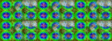 Geleneksel klasik süs. Arabesk ile klasik model. Arabesk ve çiçekli doğu raster desenleri.