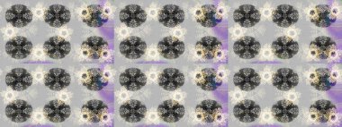 Raster grisi, nötr ve bej kar taneleri izole edilmiş. Güzel bir kış süsü. Kar taneleri koleksiyonu. Raster illüstrasyonu.