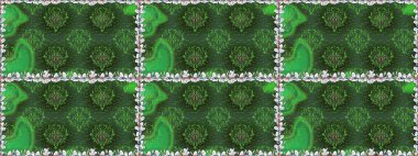 Çiçekli karalama şeklinde Raster çiçek deseni. Yumuşak, bahar çiçekli arka plan. Yeşil renkte çiçekler.