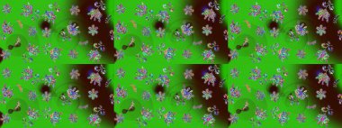 Güzel kar tanesi ikonu. Raster illüstrasyonu. Renkli arka planda izole tatlı kar taneleri. Web için güzel kar tanesi simgesinin basit gösterimi.