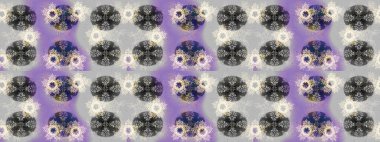 Kar taneleri tasarımı. Modern soyut tasarım posteri, kapak, gri, nötr ve mor renkli kart tasarımı. Son moda kar taneleri ve elementler onun kartlarını gösteriyor. Retro biçim dokusu, kış elementleri.