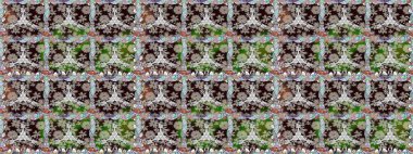 Tarafsız renklerde çiçekler. Çiçekli karalama şeklinde Raster çiçek deseni. Nazik, narin çiçek arkaplanı.