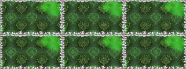 Çiçek kolajı. Çiçek arkaplan. - Yeşil çiçekler. Raster deseni. Doğa. Çiçek kompozisyonu. Küçük çiçekte güzel desen var..