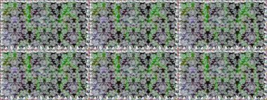 Çiçek kolajı. Küçük çiçekte güzel bir desen var. Raster deseni. Çiçek arkaplan. Çiçek kompozisyonu. - Çiçekler. Doğa.