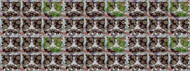 Kusursuz desen. Çiçek duvar kağıdı. Kahverengi renklerde. Hint süsü. Raster illüstrasyonu. Renkli süs kenarı.