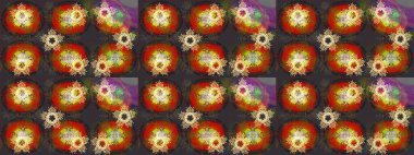 Raster kroki. Kış karalamalar el çekilmiş kar tanesi. Kartpostal ve poster grafik tasarım için Tekstil, kağıt, ambalaj için sevimli, basit raster kar taneleri çizilmiş stil Noel kış arka planlar el..