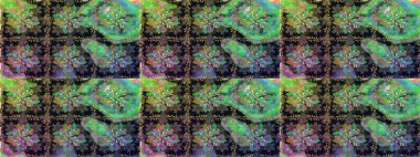 Küçük çiçekte güzel bir desen. Küçük renkli çiçekler. Moda baskıları için zarif bir şablon. Kusursuz. Motley illüstrasyonu. Çiçekli bahar çiçekleri.