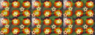 Tekstil için Lacy Fashion Print. Raster illüstrasyonu. Kumaş veya Duvar Kağıdı Tasarımı. Lace Snowflakes 'in etnik kökü. Folk Style. Stilize Çiçekler. Mandalas Dekoratif Doku Arkaplanı.