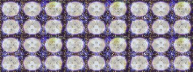 Çiçek Elementleri 'nin soyut geçmişi. Tarafsız, gri ve mor renkler üzerine tasarım. Raster kış deseni. Raster illüstrasyonu.