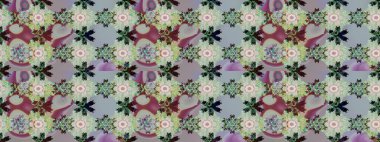 Kar Tanesi Simgesi. Kar Tanesi Raster illüstrasyonu. Gri ve nötr renklerde izole edilmiş. Kış kar taneleri.