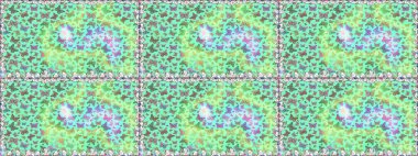 Mavi ve yeşil arka planda güzel renkli bir kelebek. Kelebek tasviri. Tropik gerçekçi kelebek. Sırtın için parlak bir dövme. Raster..