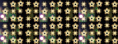 Şatafatlı bahar bahçesi dokusu. Siyah renkte çiçek çizimi. Çiçek deseni. Raster illüstrasyonu. Siyah renkte çiçekler.