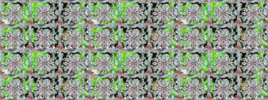 Kartlar, davetiyeler, tarih kartları ve daha fazlası için kullanılabilir. Tatlı suluboya, dikişsiz çiçek deseni. Büyük bir suluboya çiçek seti..