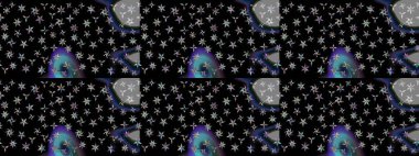 Halk tarzı. Parlak renkli çiçekli ve siyah yapraklı harika bir çiçek deseni. Modern çiçek arkaplanı. Moda baskıları için zarif bir şablon.