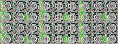 Küçük ölçekli çiçek basit şirin desende. Üretim, duvar kağıdı, baskı, hediye paketi ve scrapbooking Tekstil veya kitap için çiçek sorunsuz arka plan kapsar. Raster illüstrasyon.