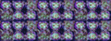 Son moda kar taneleri ve elementler onun kartlarını gösteriyor. Kar taneleri tasarımı. Modern tasarım posteri, kapak, menekşe rengi, gri ve mavi renkli kart tasarımı. Retro biçim dokusu, şablon kış elementleri.