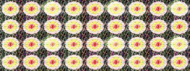 Bahar çiçekleriyle güzel bir çiçek deseni çizmişsin. Güzel kumaş deseni. Raster illüstrasyonu.