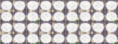 Bej, nötr ve gri renklerde altın elementler. Geleneksel klasik Raster altın eskiz modeli. Barok tarzında eskiz doğulu süsü..